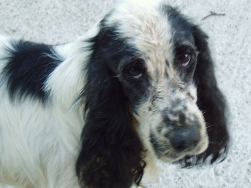 Tobi01.jpg