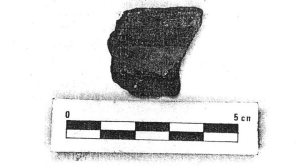 vaso_campaniforme_4.jpg