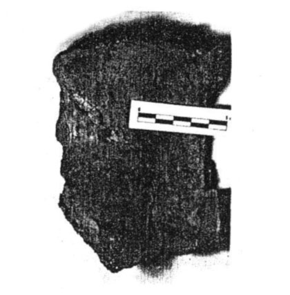 vaso_campaniforme_5.jpg