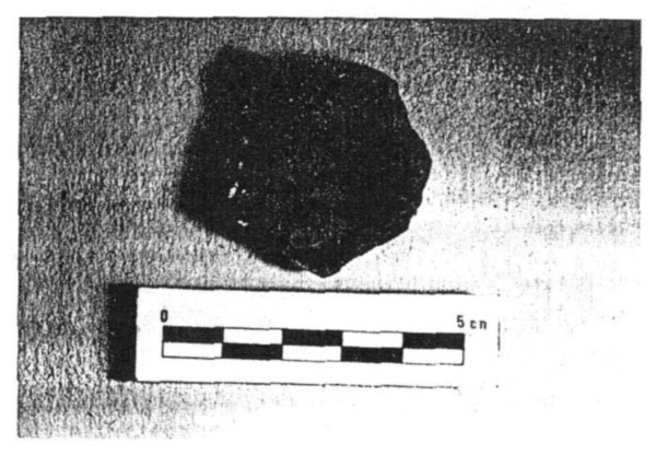 vaso_campaniforme_6.jpg
