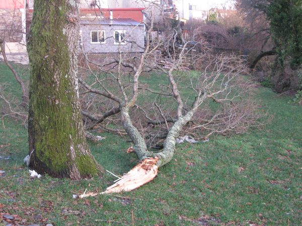 piscina.jpg