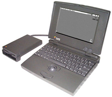 pb100.jpg