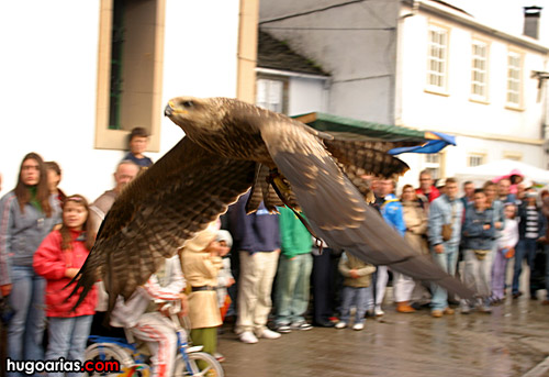 feira_m4.jpg