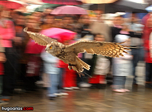 feira_m5.jpg