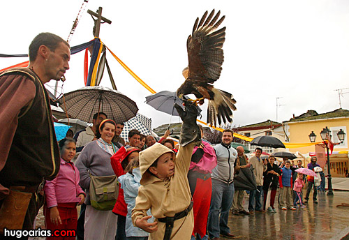 feira_m6.jpg