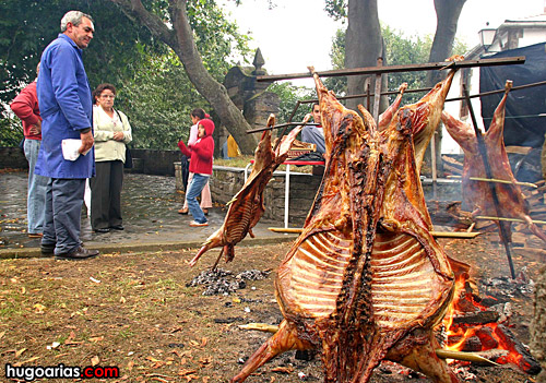 feira_m7.jpg