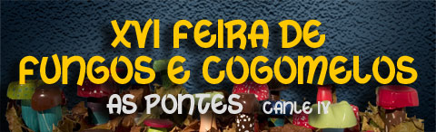 cartel-fungos-2005.jpg