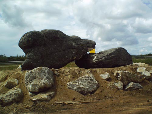 IMAG0001.jpg