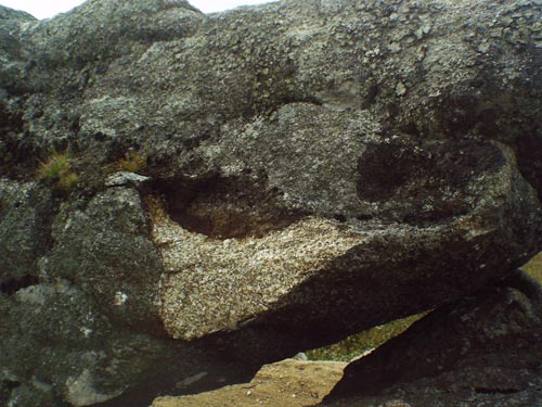 IMAG0006.jpg