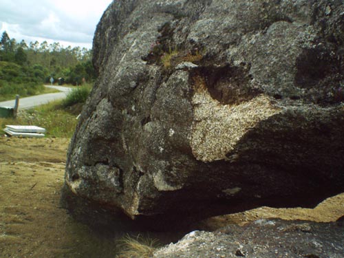 IMAG0008.jpg