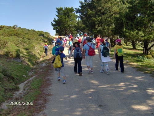 Forgoselo1.jpg