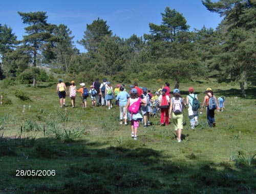 Forgoselo3.jpg