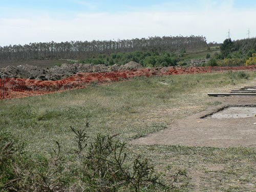 mourela2.jpg