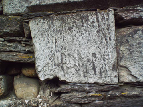 IMAG0051.jpg