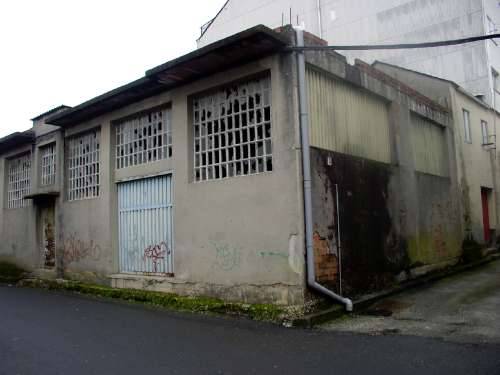 feismo4.jpg