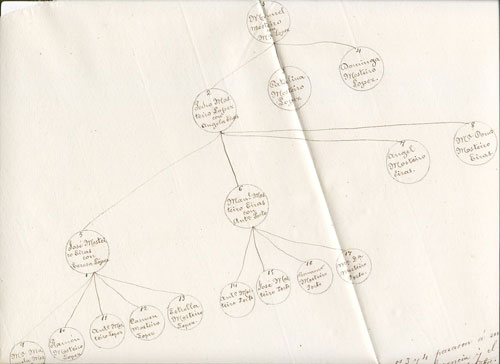 genealogia-mosteiro.jpg