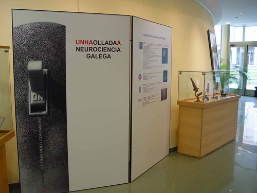 omundonatuacabeza1.jpg