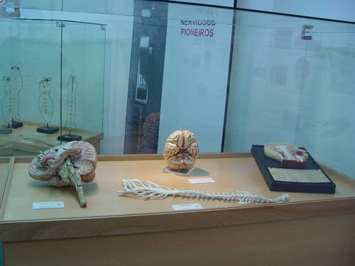 omundonatuacabeza3.jpg