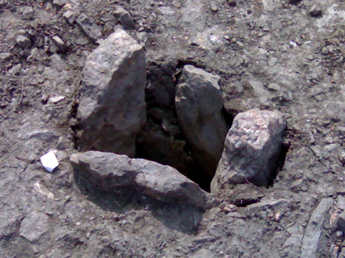 MOURELA2.jpg