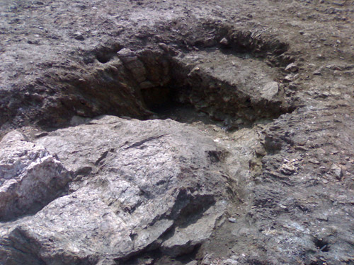 MOURELA6.jpg