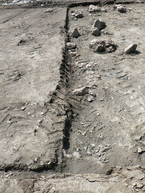 trompo_03.jpg