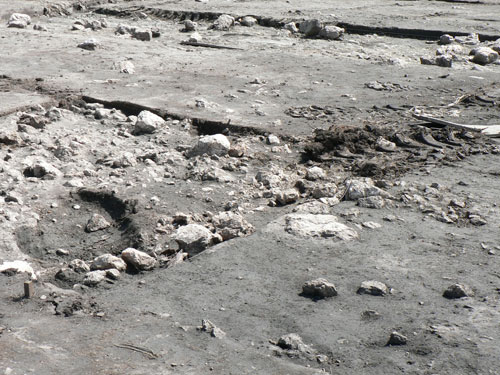 trompo_07.jpg