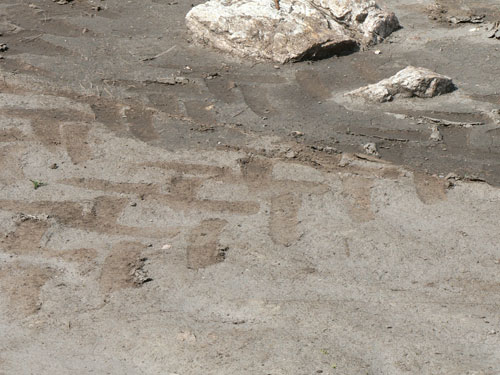 trompo_09.jpg