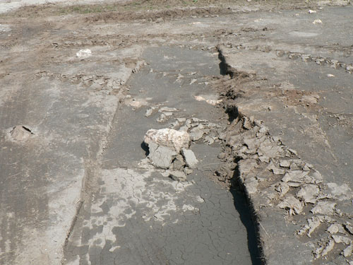 trompo_11.jpg