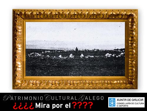patrimonio.jpg