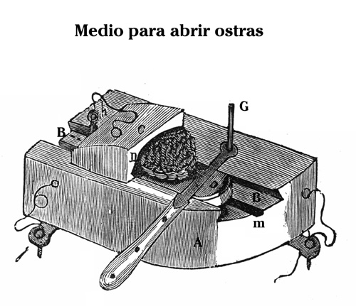 Ostras01.jpg