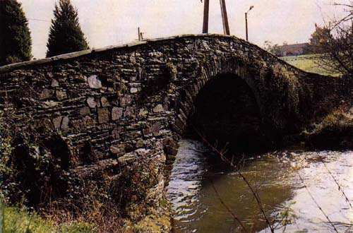 Ponte.jpg