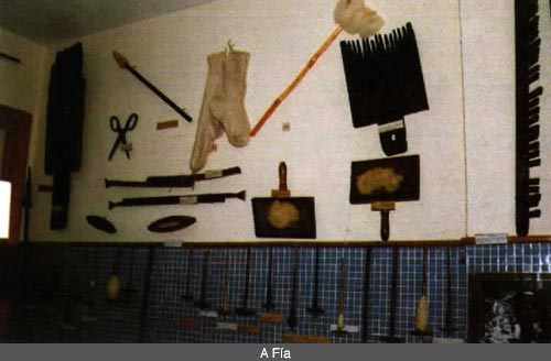 foto-11.jpg