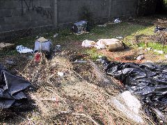 IMG_0027.JPG