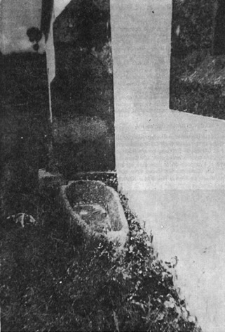 Foto1.jpg