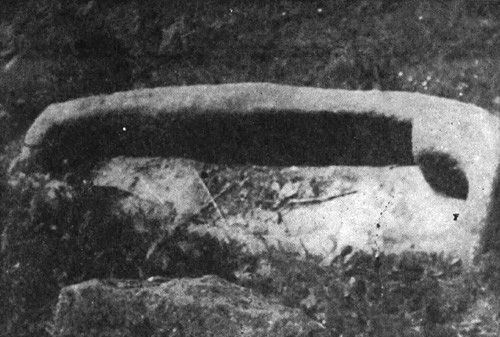 Foto2.jpg