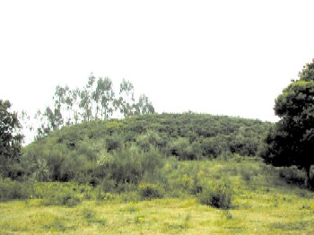 Medonha.jpg