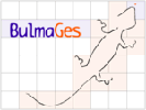 bulmages.png