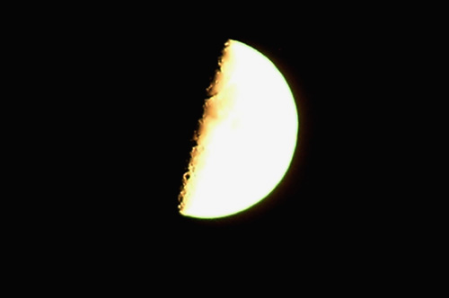luna500.jpg