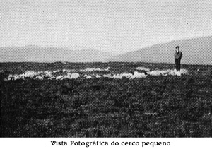AMourela02.jpg