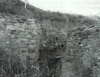 Muro-2.jpg