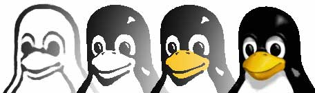 linux1.jpg