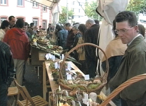 foto1.jpg