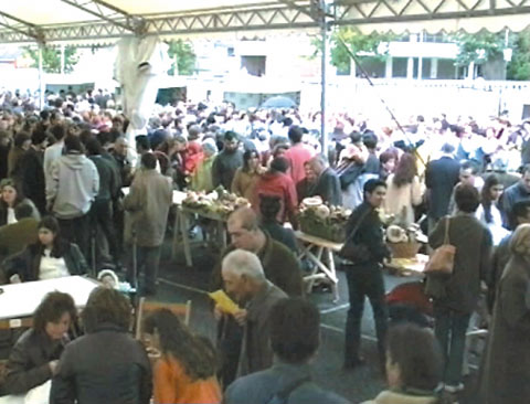 foto5.jpg