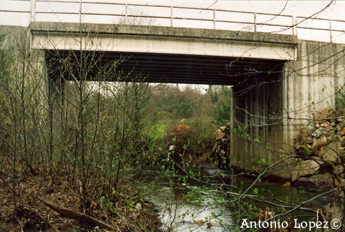 Ponte03.jpg