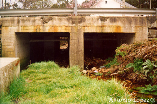 Ponte04.jpg