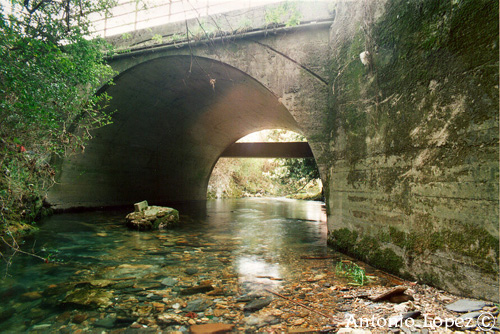 Ponte06.jpg