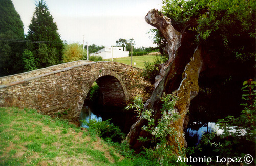 Ponte08.jpg