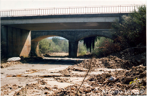 Ponte09.jpg