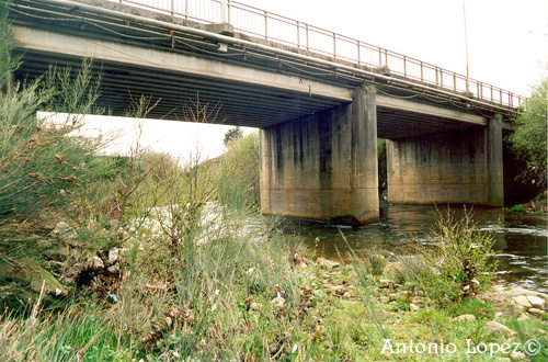 Ponte11.jpg