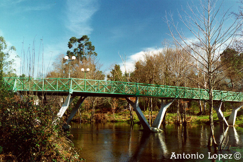 Ponte12.jpg